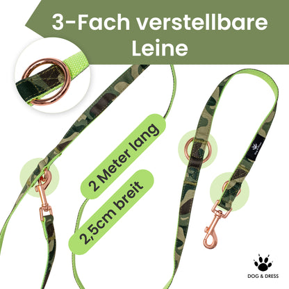 Dog collar + leash set "Ranger" incl. gift box