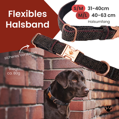 Hundehalsband + Leine Set "Passion"  inkl. Geschenkbox