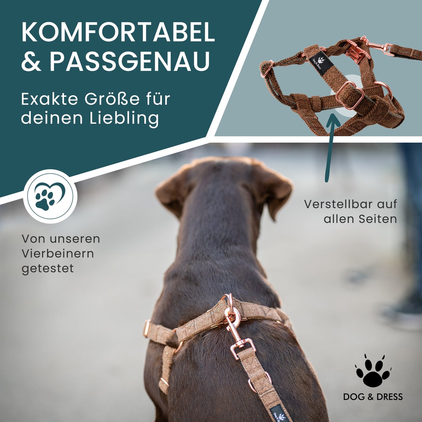 Hundegeschirr + Leine Set "Argos" inkl. Geschenkbox - Dog & Dress