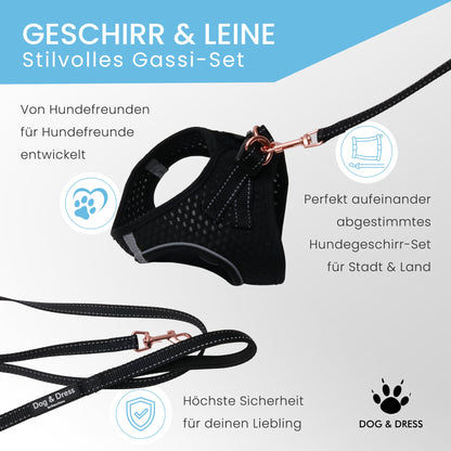 Hundegeschirr + Leine Set "Little one" für Welpen - Dog & Dress