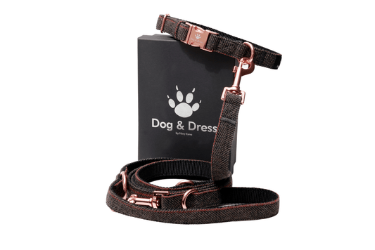 Hundehalsband + Leine Set "Passion" inkl. Geschenkbox - Dog & Dress