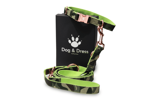 Hundehalsband + Leine Set "Ranger" inkl. Geschenkbox - Dog & Dress