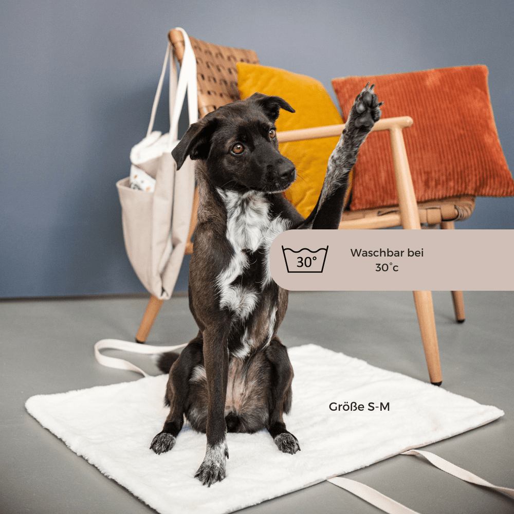 
                  
                    Hundedecke faltbar als Tasche - praktisch für unterwegs - Dog & Dress
                  
                