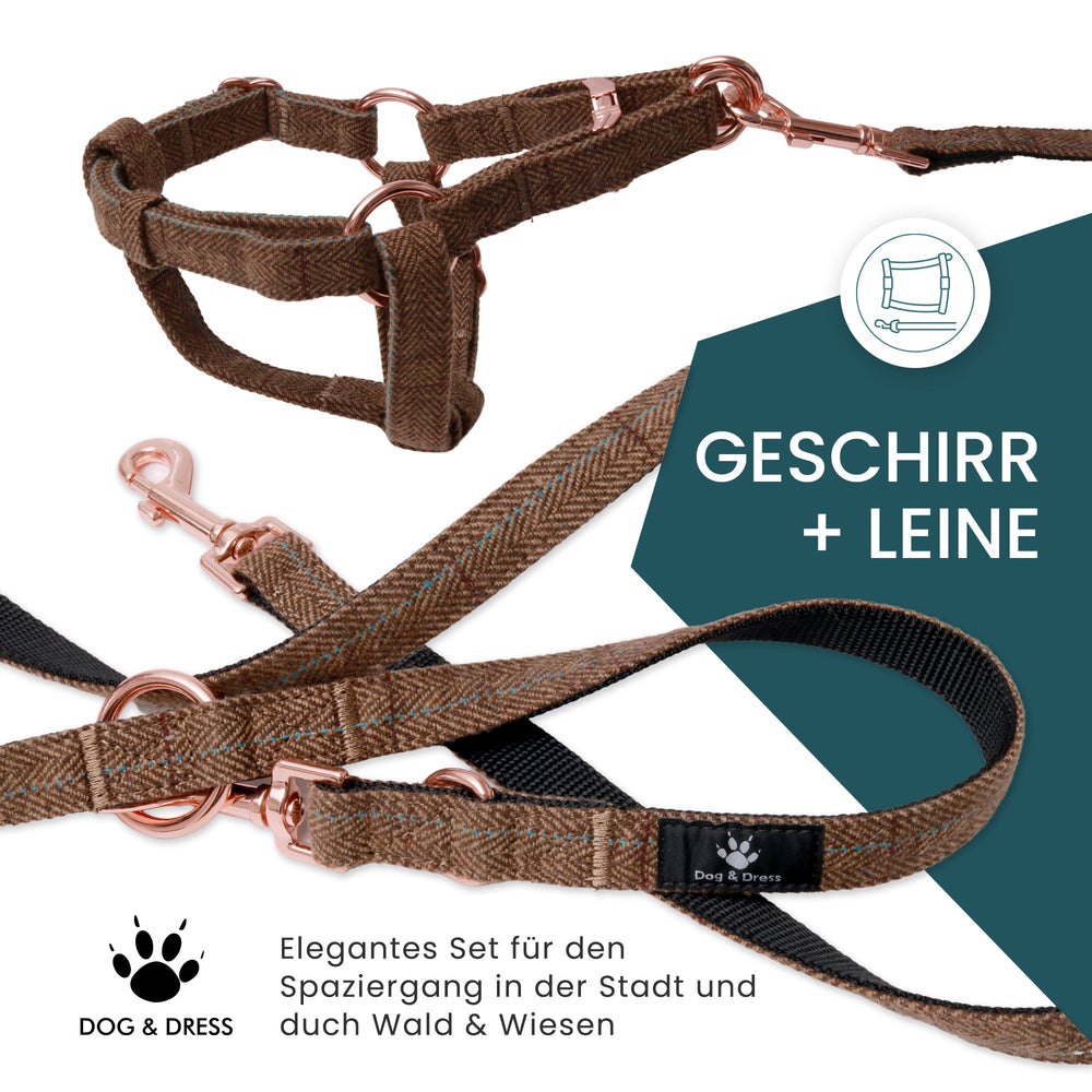 
                  
                    Hundegeschirr + Leine Set "Argos", braun, roségold, verstellbar inkl. Geschenkbox - Dog & Dress
                  
                