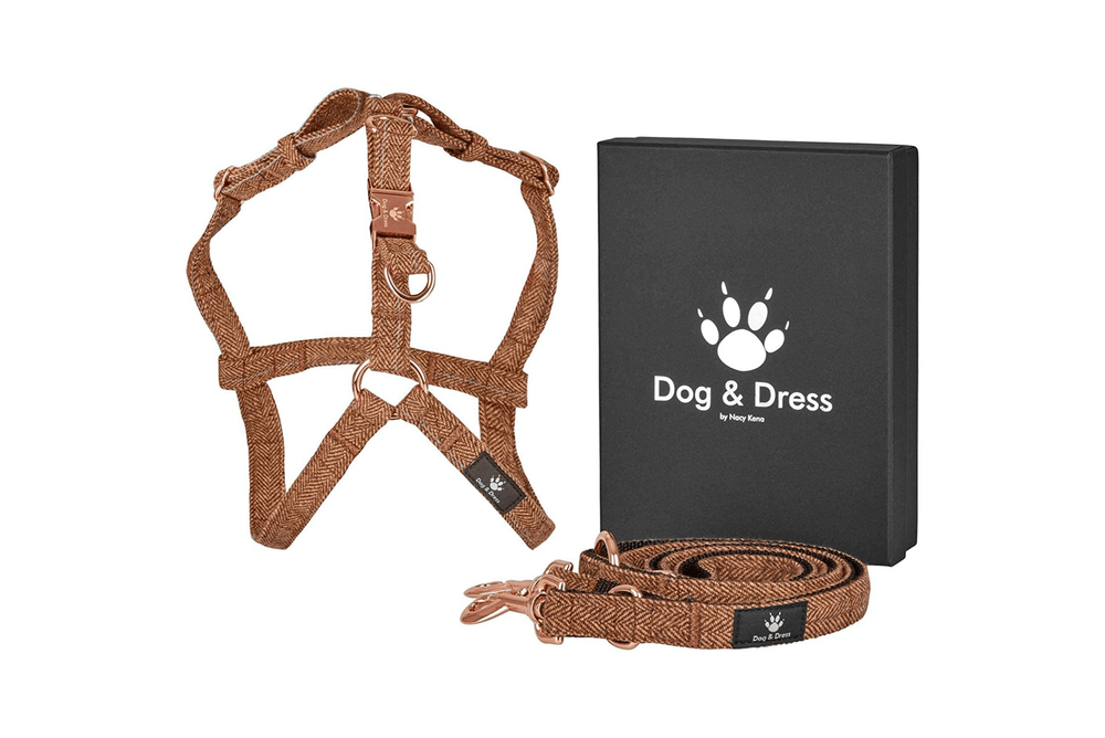 
                  
                    Hundegeschirr + Leine Set "Argos", braun, roségold, verstellbar inkl. Geschenkbox - Dog & Dress
                  
                