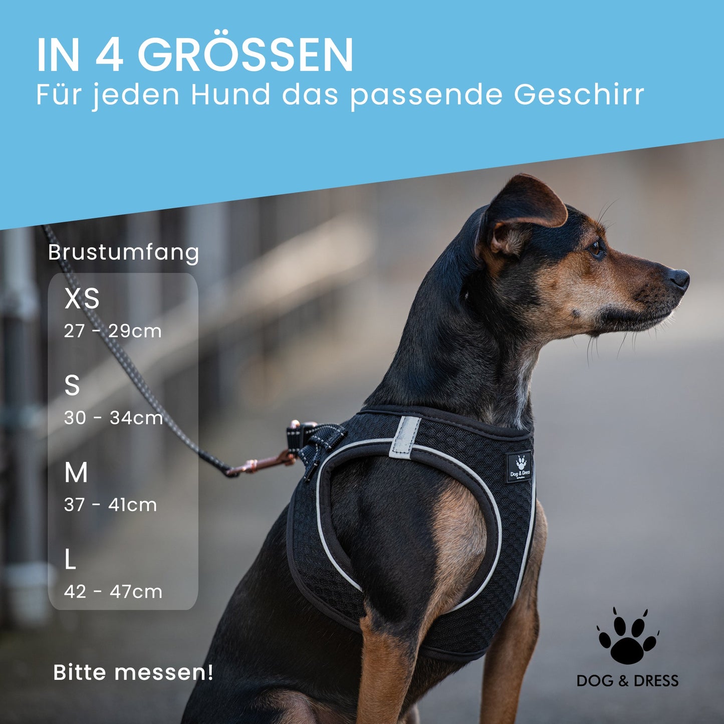 
                  
                    Hundegeschirr + Leine Set "Little one", für Welpen, schwarz, roségold, atmungsaktiv, reflektierend - Dog & Dress
                  
                