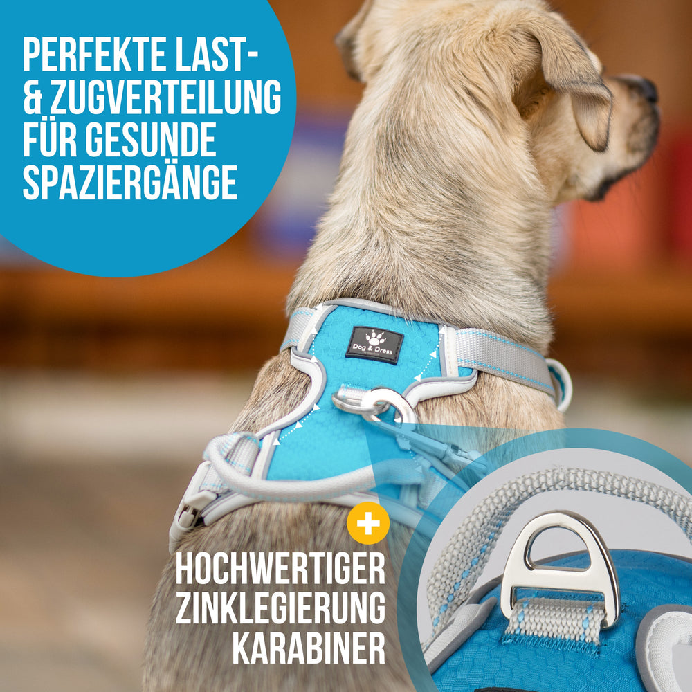 
                  
                    Hundegeschirr + Leine Set "Rocket", atmungsaktiv, reflektierend, verstellbar - Dog & Dress
                  
                
