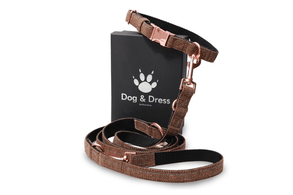 Hundehalsband + Leine Set "Argos", braun, roségold, verstellbar inkl. Geschenkbox - Dog & Dress