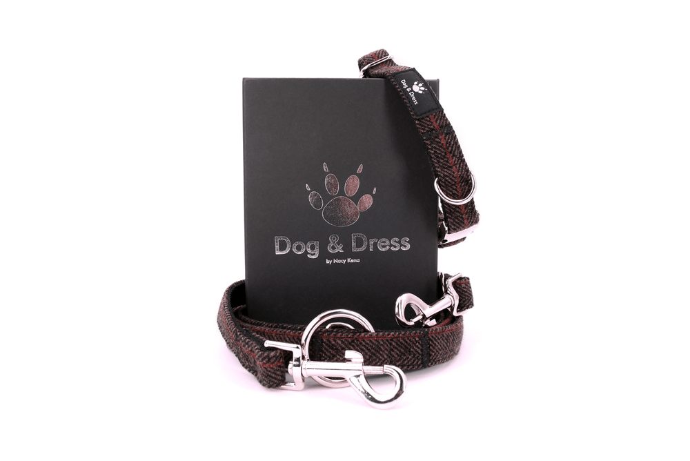 
                  
                    Hundehalsband + Leine Set "Classico", braun, silber, Nylon, S-L inkl. Geschenkbox - Dog & Dress
                  
                