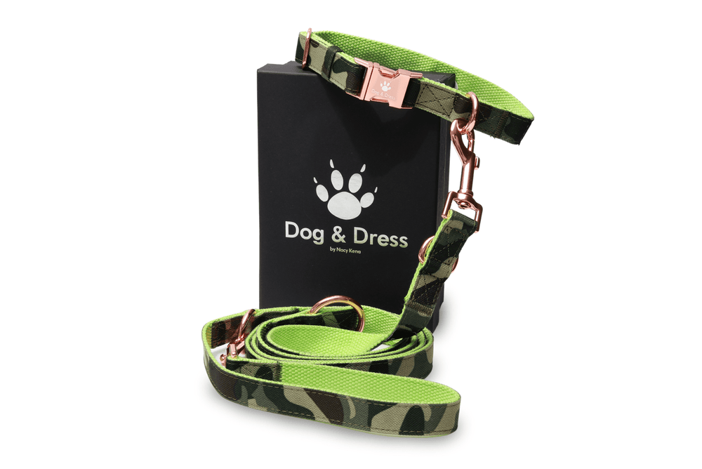 Hundehalsband + Leine Set "Ranger", camouflage, roségold, verstellbar inkl. Geschenkbox - Dog & Dress